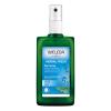 Weleda Sage Αποσμητικό 100 ml