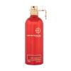 Montale Oud Tobacco Eau de Parfum 100 ml TESTER