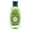 Garnier Botanic Therapy Green Tea Eucalyptus &amp; Citrus Σαμπουάν για γυναίκες 250 ml