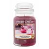 Yankee Candle Sweet Plum Sake Αρωματικό κερί 623 gr