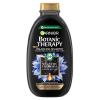 Garnier Botanic Therapy Magnetic Charcoal &amp; Black Seed Oil Σαμπουάν για γυναίκες 250 ml