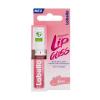 Labello Pflegender Lip Gloss Λάδι χειλιών για γυναίκες 5,5 ml Απόχρωση Rosé