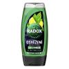 Radox Refreshment Menthol And Citrus 3-in-1 Shower Gel Αφρόλουτρο για άνδρες 225 ml