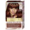 L&#039;Oréal Paris Excellence Creme Triple Protection Βαφή μαλλιών για γυναίκες 48 ml Απόχρωση 4UR Universal Dark Red