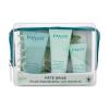 PAYOT Pâte Grise Anti Blemish Kit Σετ δώρου τζελ καθαρισμού 50 ml + τζελ προσώπου 30 ml + μάσκα προσώπου 15 ml + τσαντάκι