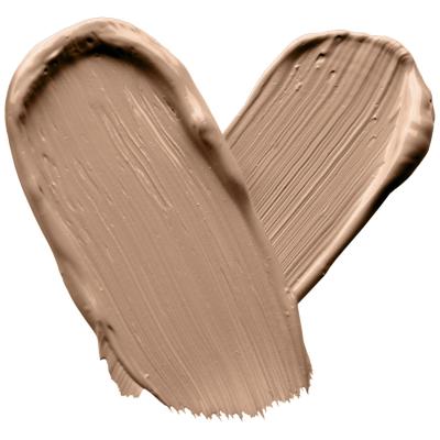 Wet n Wild MegaLast Incognito All-Day Full Coverage Concealer Concealer για γυναίκες 5,5 ml Απόχρωση Light Honey