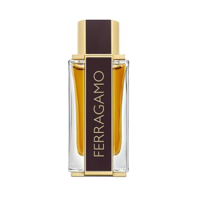 Ferragamo Ferragamo Spicy Leather Parfum για άνδρες 100 ml