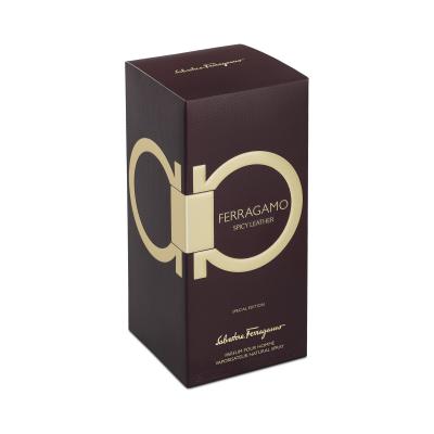 Ferragamo Ferragamo Spicy Leather Parfum για άνδρες 100 ml