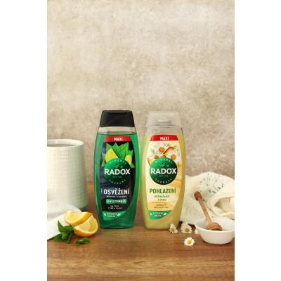 Radox Refreshment Menthol And Citrus 3-in-1 Shower Gel Αφρόλουτρο για άνδρες 450 ml