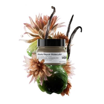 L&#039;Oréal Professionnel Absolut Repair Molecular Professional Mask Μάσκα μαλλιών για γυναίκες 250 ml