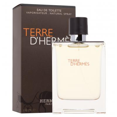 Hermes Terre d´Hermès Eau de Toilette για άνδρες 100 ml