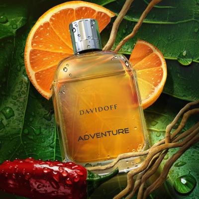 Davidoff Adventure Eau de Toilette για άνδρες 100 ml