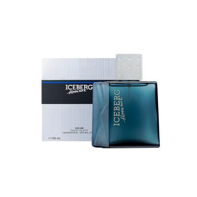 Iceberg Homme Eau de Toilette για άνδρες 100 ml