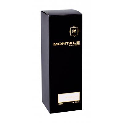 Montale Moon Aoud Eau de Parfum 100 ml