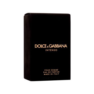 Dolce&amp;Gabbana Pour Homme Intenso Eau de Parfum για άνδρες 75 ml