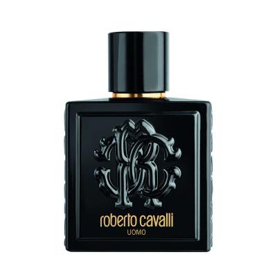 Roberto Cavalli Uomo Eau de Toilette για άνδρες 100 ml