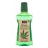 Xpel Hemp Mouthwash Στοματικό διάλυμα 500 ml