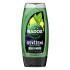 Radox Refreshment Menthol And Citrus 3-in-1 Shower Gel Αφρόλουτρο για άνδρες 225 ml