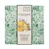 L'Occitane Almond (Amande) Body Care Gift Set Σετ δώρου λάδι ντους Almond Shower Oil 250 ml + body butter Almond Supple Skin Oil 100 ml + κρέμα χεριών Almond Delicious Hands 30 ml