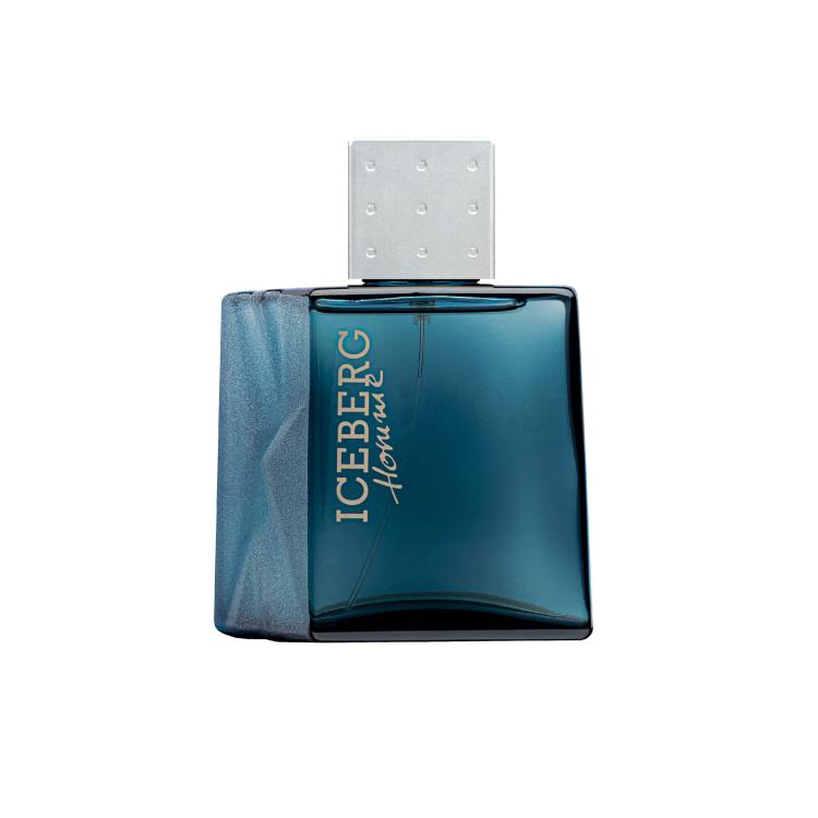 Iceberg Homme Eau de Toilette για άνδρες 100 ml